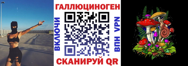 Купить закладки  Курск  Псилоцибиновые грибы прущие грибы 