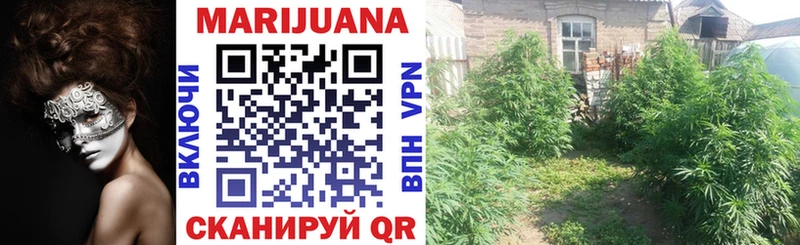 Бошки Шишки Bruce Banner  Купить где  Курск 